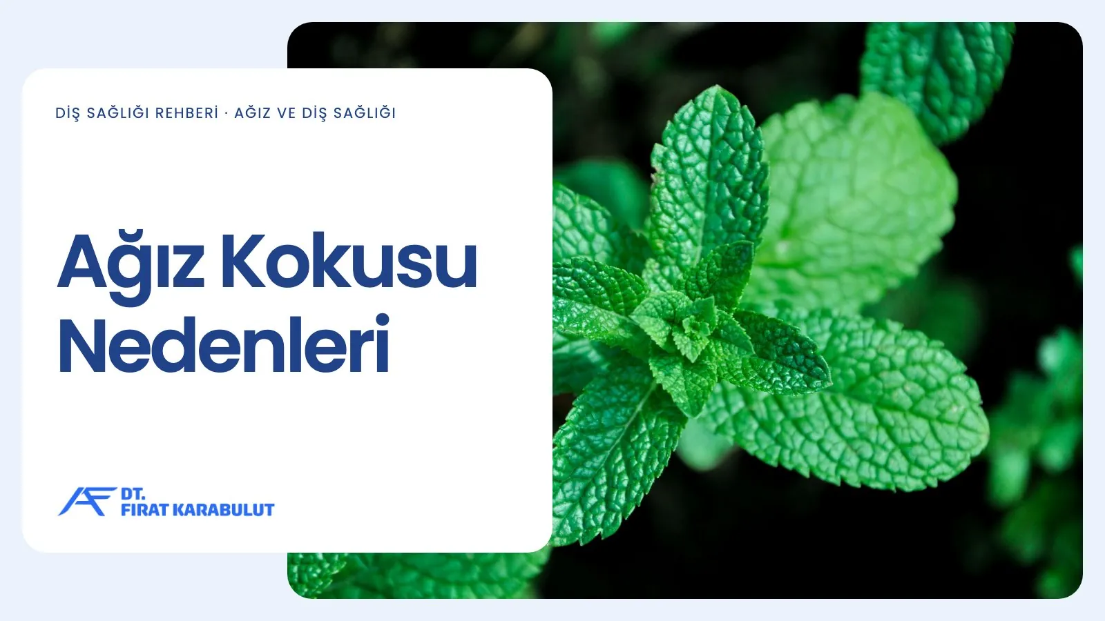 Ağız Kokusu Nedenleri